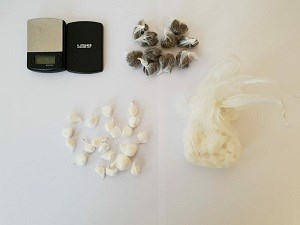 Slika PU_SD/PU SD speed i marihuana 05.06. 2018.jpg